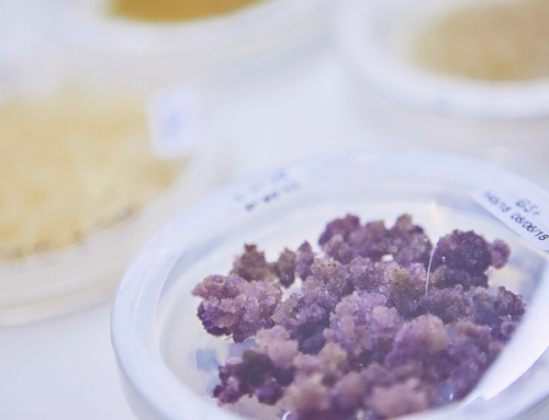 Aethera Biotech ed Ergo Bioscience firmano una partnership strategica