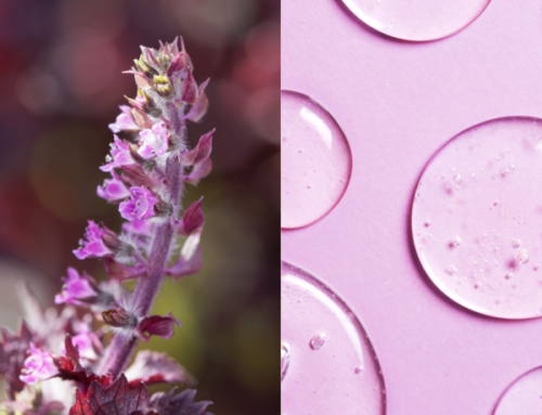 Compatibilità del fitocomplesso di P.frutescens e polisaccaridi naturali: lo studio
