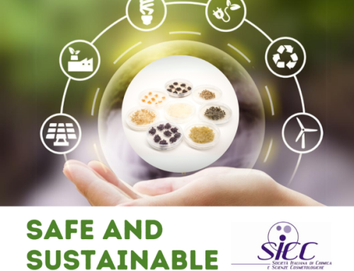 Aethera Biotech at the II edition of the Safe & Sustainable Seminar